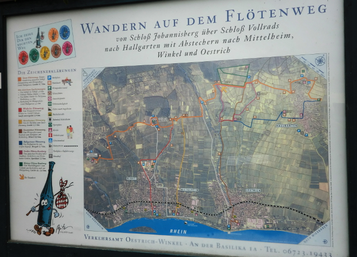 wandern_auf_dem_floetenweg_mittelrhein_wanderrouten_wandertouren_brausetour